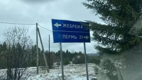 Участок в Пермский край, Пермский муниципальный округ, Новый кв-л  ...