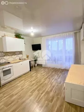 Квартира-студия: Новосибирск, Волховская улица, 37 (38.17 м)