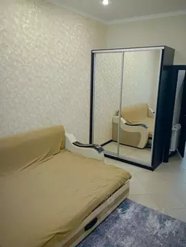 1-к кв. Саратовская область, Саратов ул. Имени Сакко и Ванцетти, 15А ...