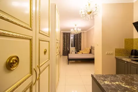 Студия Санкт-Петербург ул. Орджоникидзе, 52 (25.0 м)