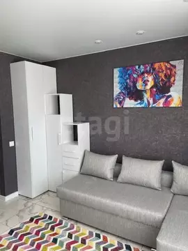 Студия Воронежская область, Воронеж ул. Артамонова, 34Ж (20.4 м)