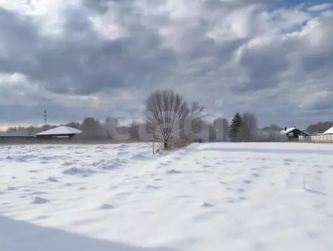 Участок в Тульская область, Тула городской округ, д. Прудное  (15.0 ...