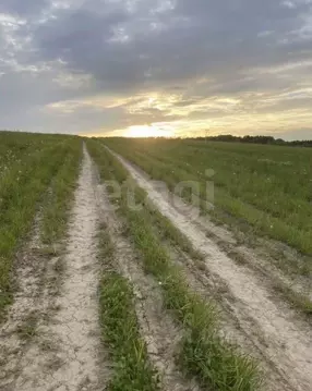 Участок в Вологодская область, пос. Уткино ул. Центральная (15.0 сот.)