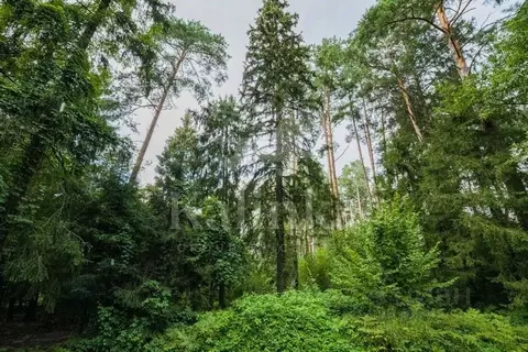 Участок в Московская область, Одинцовский городской округ, д. Дарьино  ...