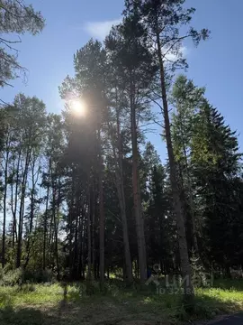 Участок, 13 сот., поселения (ижс)