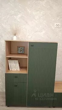 Студия Красноярский край, Красноярск ул. Калинина, 47 (14.0 м)