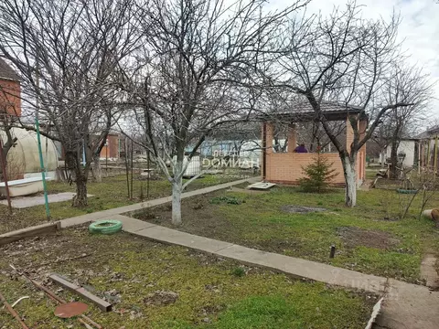 Участок в Ростовская область, Новочеркасск Виноградная Лоза СНТ, 338 ...