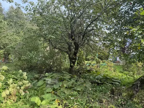 Участок в Москва пос. Совхоза Крекшино, Крекшино-ВВЦ СНТ, ул. Большая ...