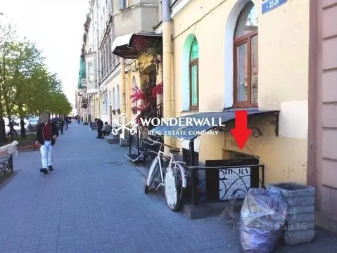 Торговая площадь в Санкт-Петербург ул. Маяковского, 22-24 (75 м)