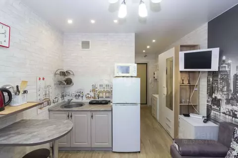 Студия Тюменская область, Тюмень ул. Новоселов, 115 (21.0 м)