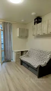 Студия Москва просп. Прокшинский, 10 (27.0 м)