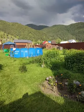 Дом в Алтай, Чемальский район, Элекмонарское с/пос, с. Элекмонар  (60 ...