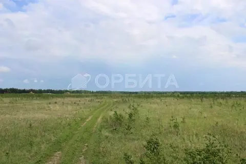 Участок в Свердловская область, Слободо-Туринский район, ...