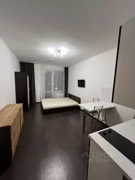 Студия Санкт-Петербург аллея Арцеуловская, 19 (25.0 м)