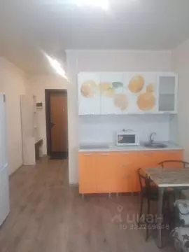 Студия Пензенская область, Пензенский район, Засечный сельсовет, с. ...