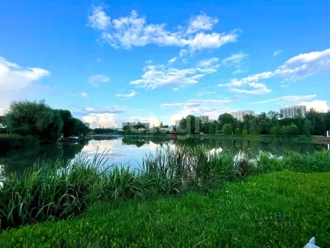 Участок в Москва д. Николо-Хованское, 46 (8.0 сот.)