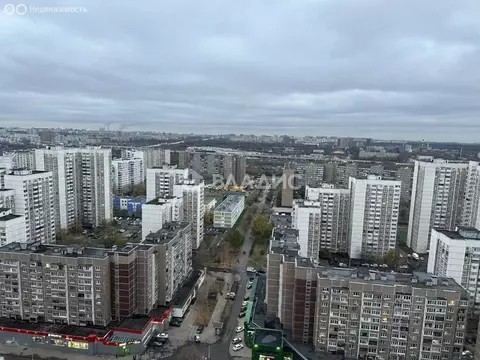 6-комнатная квартира: Москва, Жулебинский бульвар, 5 (255 м)
