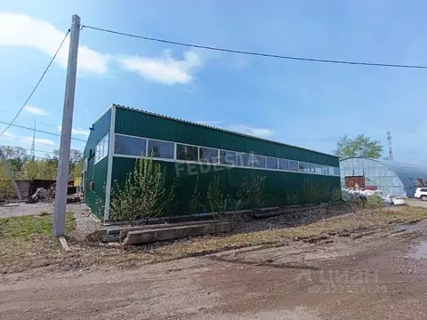 Помещение свободного назначения в Пермский край, Пермь ул. Гальперина, ...