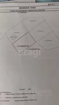 Участок в Белгородская область, Белгородский район, Никольское с/пос, ...