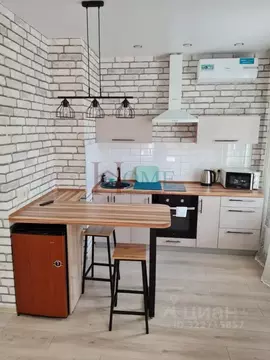 1-к кв. Новосибирская область, Новосибирск ул. Ясный Берег, 25 (29.1 ...