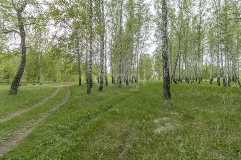 Участок в Тюменская область, Тюменский муниципальный округ, ...