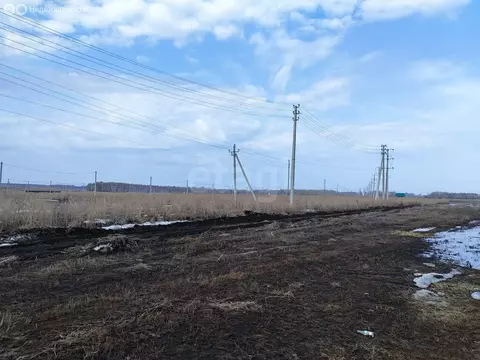 Участок в Тюменский муниципальный округ, село Червишево (600 м)