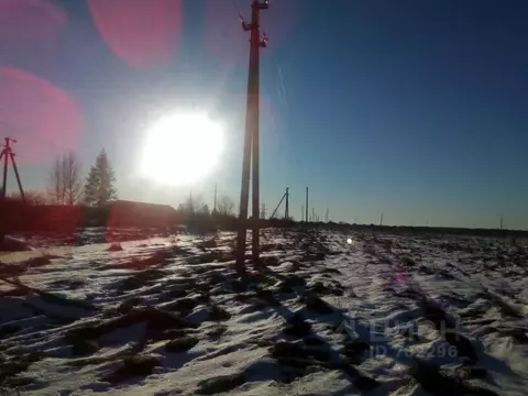 Участок в Новгородская область, Шимск рп  (1160.0 сот.)