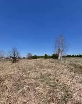 Участок в Калужская область, Перемышльский район, Корекозево с/пос, д. ...