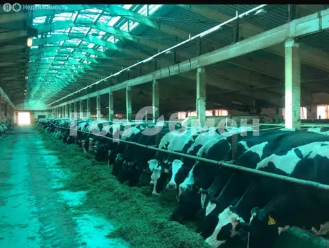 Производственное помещение (25500 м)