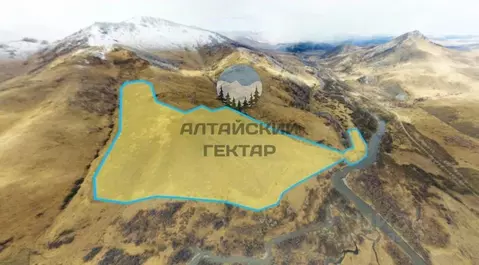 Участок в Алтайский край, Солонешенский район, с. Солонешное  (250.0 ...