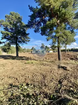 Участок в Московская область, Ленинский городской округ, д. Суханово, ...