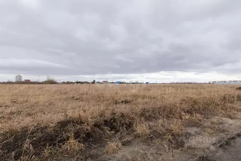 Участок в Тюменская область, Тюмень Ембаевское ТОО,  (6.88 сот.)