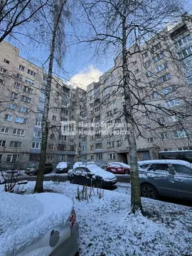 2-к кв. Санкт-Петербург пос. Металлострой, Полевая ул., 2/30 (47.4 м)