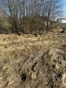 Участок в Ленинградская область, Гатчинский муниципальный округ, д. ...