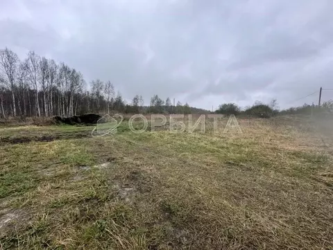 Участок в Тюменская область, Нижнетавдинский район, Полиграфист ...