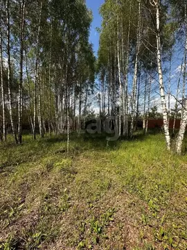 Участок в Ярославская область, Некрасовский муниципальный округ, ...