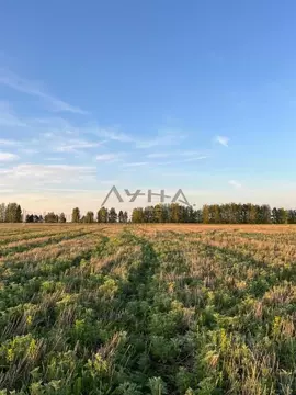 Участок в Татарстан, Тукаевский район, Калмиинское с/пос, Новая Калмия ...
