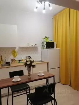 Студия Ленинградская область, Гатчина ул. Чехова, 43к1 (28.0 м)