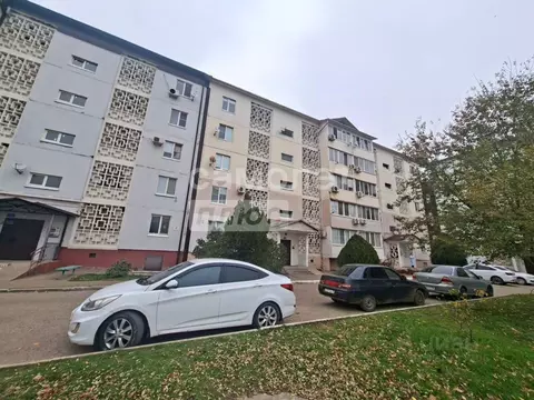 1-к кв. Калмыкия, Элиста Ипподромная ул., 96 (34.9 м)