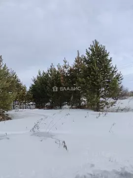 Участок в Иркутская область, Шелеховский район, Баклашинское ...