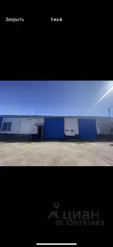 Помещение свободного назначения в Рязанская область, Рязань 2Б (242 м)