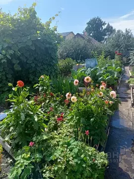 Дом в Омская область, Омск СНТ Ромашка ТСН, аллея 3-я, 87 (40 м)