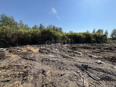 Участок в Тюменская область, Тюмень Салют СНТ, ул. Чемпионов (8.12 ...