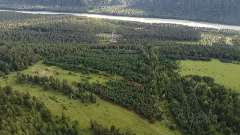 Участок в Алтай, Чемальский район, с. Чепош ул. Кучияк (1.0 сот.)