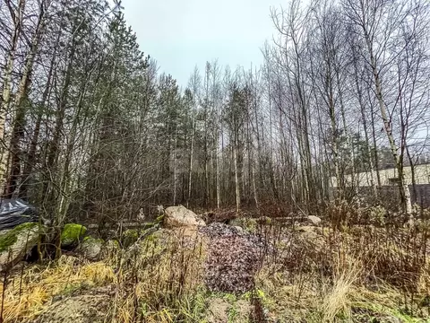 Участок в Ленинградская область, Выборгский район, Полянское с/пос, ...