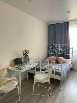 Студия Санкт-Петербург ул. Плесецкая, 10 (24.0 м)