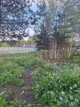 Участок в Московская область, Богородский городской округ, Электрон ...