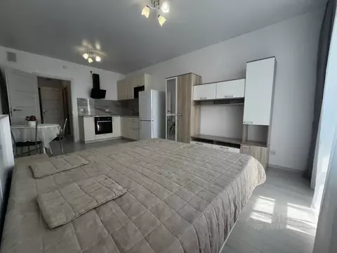 Студия Санкт-Петербург ш. Суздальское, 20к4 (31.0 м)