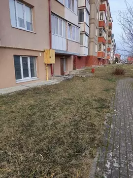 Помещение свободного назначения в Калининградская область, Светлый ...