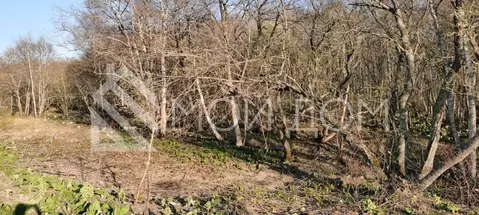 Участок в Сахалинская область, Южно-Сахалинск  (98.98 сот.)